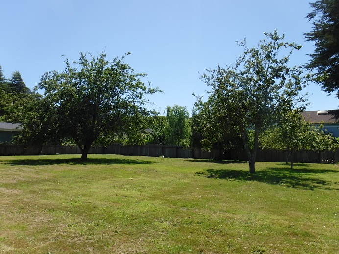 Stone Rivers Property Management